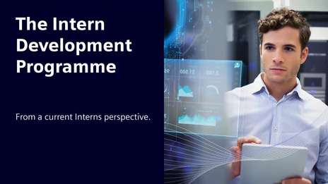 The Intern Development Programme