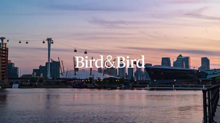 Bird & Bird: About Us