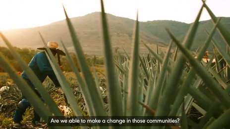 Our Business | The Blend | Diageo