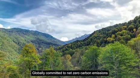 CGI in sustainability