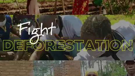 Growing Together: Our Centrica & WeForest Partnership
