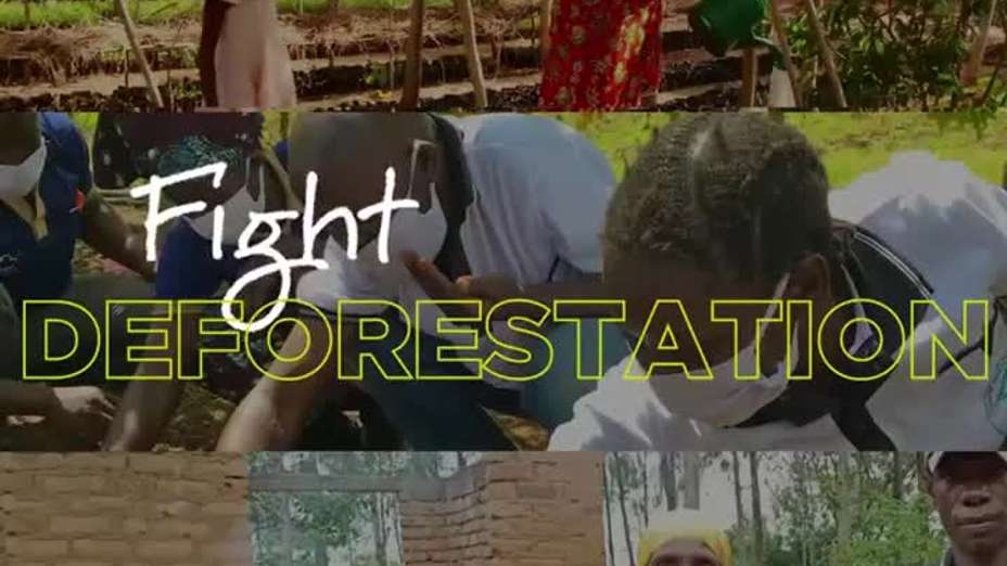 Growing Together: Our Centrica & WeForest Partnership