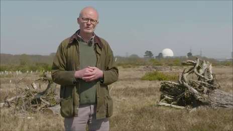 Wild Aldhurst habitat and wetland tour
