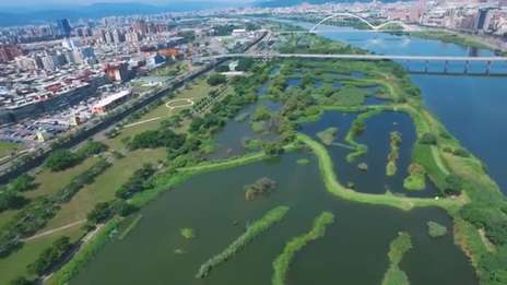Nature-based solutions: Using engineering and nature to solve environmental challenges