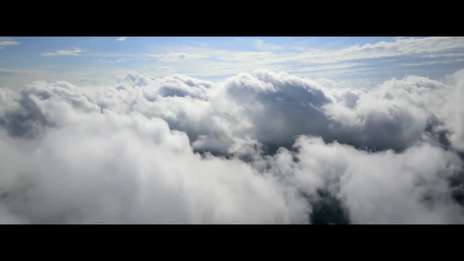 We were meant to fly