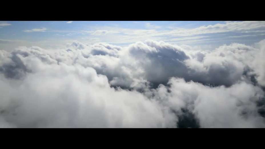We were meant to fly