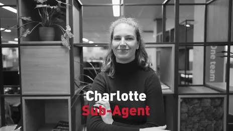 Sub-Agent at STRABAG