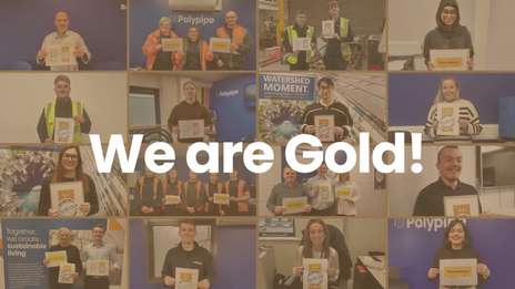 5% Gold Status