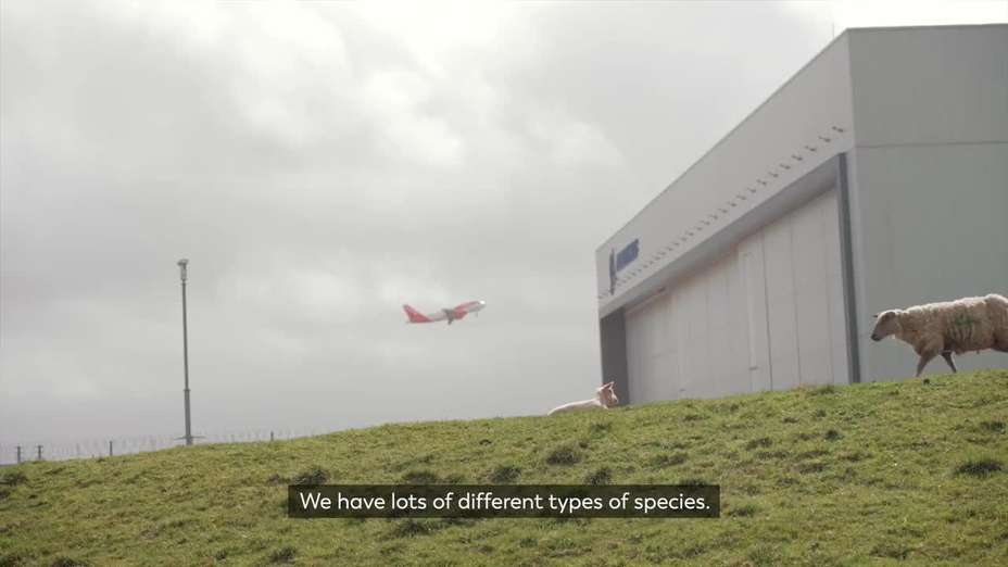 Why can't an airport work towards a sustainable future?