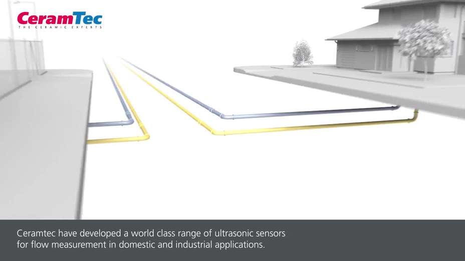 Ultrasonic flow sensors