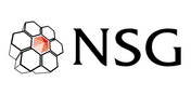 NSG Environmental Logo